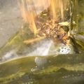 ♡マッキークッキング's cooksnap of when they made ふつうに美味しい・だし巻き.