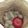 クックG5T5UZ☆'s cooksnap of when they made 日持ち最強！じゃがいも保存法(秋冬限定).