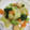 クックM8KCND☆'s cooksnap of when they made 鮭と野菜の塩麹バター炒め.