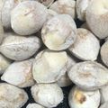 ごんちゃん11's cooksnap of when they made おつまみに♪塩炒り銀杏.