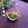 haruku221's cooksnap of when they made おらとこの「ふき味噌」　（ふきのとう味噌.