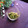 haruku221's cooksnap of when they made おらとこの「ふき味噌」　（ふきのとう味噌.