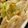 MULA's cooksnap of when they made キャベツと乾物の焼きうどん.