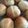 LinLinkBu's cooksnap of when they made 翌日もしっとり☆玄米粉のプチパン.