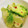 あんまかろん☆'s cooksnap of when they made これは美味い♪蕾菜(子持ち高菜)の浅漬け.