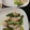 食材が好き☆'s cooksnap of when they made ささみとアスパラのマヨネーズ炒め.