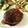 pali's cooksnap of when they made 50%ひき肉ハンバーグ♪簡単食物繊維鉄分.
