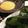 クック☆やーっ！'s cooksnap of when they made 手作りの辛子酢みそ.