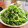 Superlittleboo's cooksnap of when they made ほろ苦ほの甘の美味しさ！☆春菊のサラダ.