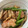 リータ☆'s cooksnap of when they made 鶏肉とにんにくの芽のオイスター炒め.