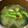 めめの台所's cooksnap of when they made ❀春菊ときのこのお味噌汁❀.