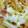 あゆたっくん's cooksnap of when they made 白菜とりんごのサラダ.
