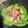 ビューティキャット's cooksnap of when they made あさりとスナップエンドウの酒蒸し.