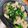 hadukisann's cooksnap of when they made 鶏ももとにらの甘辛炒め.