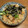 さちきち！'s cooksnap of when they made 鮭とごぼう•まいたけの炊き込みご飯.