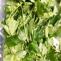×ハチ×'s cooksnap of when they made みつばのシャキシャキ保存方法.