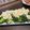 クロ８５'s cooksnap of when they made ブロッコリーの玉子サラダ.