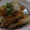 tokumama's cooksnap of when they made 磯辺揚げちくわの和え物.