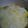 cobonchan's cooksnap of when they made 野菜たっぷりグラタン.