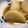 tutocook's cooksnap of when they made 煮るだけ！ほっこり大根の味噌煮.