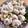 いぬおのお母さん's cooksnap of when they made 簡単おつまみ♪ちくわのクルクル.