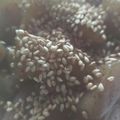 キロリン's cooksnap of when they made こんにゃくだけ.
