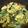 お料理勉強中、、's cooksnap of when they made 簡単☆ふわふわ卵の青梗菜スープ.