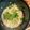 んりおか's cooksnap of when they made 三つ葉と豆腐の塩麹漬け.