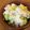 harutop's cooksnap of when they made 冷凍枝豆とコーン缶で枝豆コーンご飯.