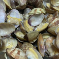 askun05's cooksnap of when they made 漁師のおかず★あさりのバター蒸し.
