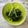 ナピト's cooksnap of when they made *モロヘイヤの茎のサッと煮.