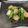 fu♪♪'s cooksnap of when they made アスパラとシーフードミックスの中華炒め.