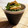 E吉☆'s cooksnap of when they made おつまみ貝ひもで、中華くらげ風和え物.