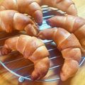 まゆー♪'s cooksnap of when they made ふわふわ塩バターパン.