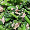 9b_pencil's cooksnap of when they made のらぼう菜とツナの胡麻からし和え.