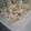 もりのりころ's cooksnap of when they made 小柱と大根のマヨサラダ❨(@≧↺≦@)❩.