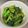 クリちゃん0309's cooksnap of when they made 簡単副菜☆小松菜のおひたし.