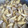 だっしきだ's cooksnap of when they made ごぼうとこんにゃくの炒めもの.