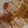 meise17's cooksnap of when they made 炊飯器で簡単✤やわらかしっとり蒸し鶏.