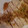 meise17's cooksnap of when they made 炊飯器で簡単✤やわらかしっとり蒸し鶏.