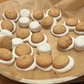 クック50BDMU☆'s cooksnap of when they made マシュマロクッキー.
