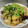 クリちゃん0309's cooksnap of when they made 簡単◎ナスと鶏モモのみぞれ煮.