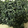 かッ。's cooksnap of when they made パセリの保存方法★ドライパセリ★.