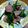 クック00Q0QZ☆'s cooksnap of when they made 豚タン葱塩焼き.