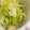 ゆっくん1129's cooksnap of when they made ささみと長ねぎの旨塩わさび和え.