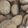 pulinn_3's cooksnap of when they made 黒糖きなこのスノーボールクッキー＊.
