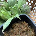 ヘップ＊BAN番's cooksnap of when they made ふきのとうみそ(ばっけみそ).