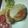 miure's cooksnap of when they made ゴーヤ！夏のひまわりバーグ♪.