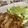 クック1K2O57☆'s cooksnap of when they made 塩麹豚肉・レンジもやし・玉ねぎの炒め物.