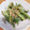 もにゃっこ's cooksnap of when they made いんげんの梅マヨおかか和え.